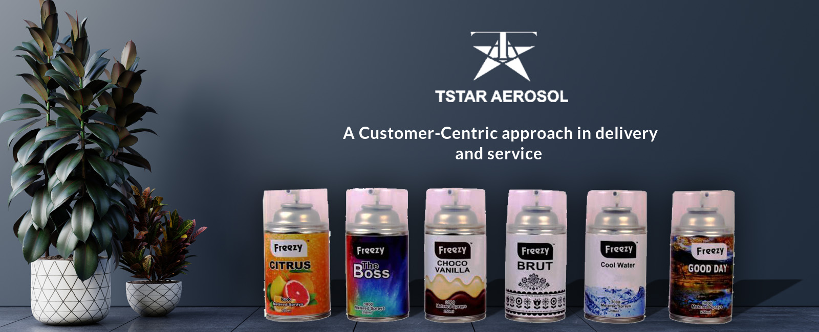 tstar aerosol suppliers
